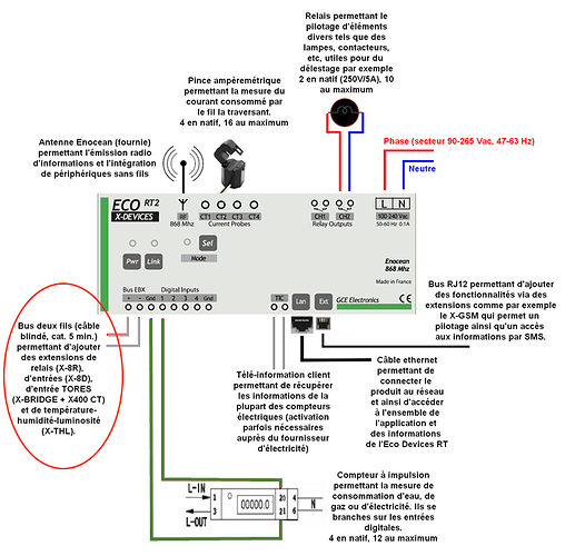 Edrt2_schema